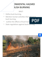 Environmental Hazard - Bush Burning