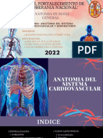 Cardiovascular y Respiratorio