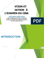 Domaine 1 Cisa