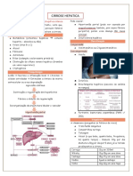 Cirrose Hepatica Resumo Simples