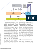 Global Ecology - (PART B Global Cycles, Balances and Flows)