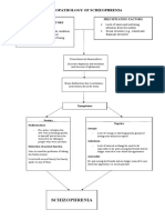 Psychopathology Schizophrenia