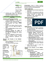 19 Musculoskeletal System DR - Faller