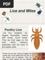 Lice and Mites