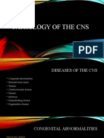 Pathology of The Cns