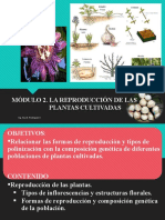 Sistema de Reproduccion de Las Plantas