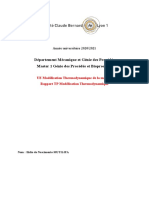 Rapport TP Modelisation Thermodynamique