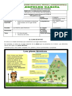 Guia 9 Grado Segundo Doc. Luz Marina Lopez