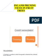 Training and Pruning-302