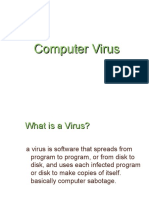 Computer Virus