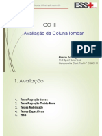 CO III - Coluna Lombar