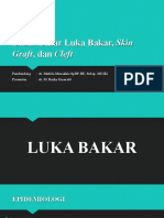 Dasar-Dasar Luka Bakar, Skin: Graft, Dan Cleft