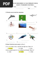 Nguyen Binh Khiem-Cau Giay Primary School Grade 5-Worksheet For Week 1