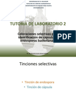 Laboratorio 2