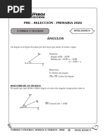 Pre - Selección - Primaria 2022: Formas Y Figuras