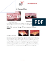 Dentistry Article For Website