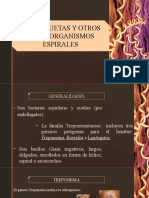 ESPIROQUETAS y OTROS ORGANISMOS ESPIRALES