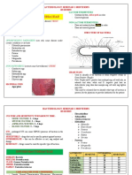 Family Enterobacteriaceae