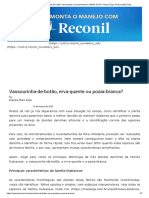 01 - DIFERENÇAS ENTRE Vassourinha-De-Botão, Erva-Quente Ou Poaia-Branca