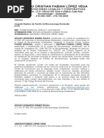 Abogado Cristian Fabian López Vega: Representaciones Legales Y Corporativas