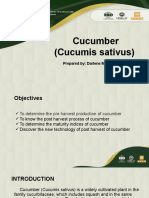 Cucumber (Cucumis Sativus) : Prepared By: Darlene Mae D. Talagtag