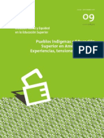 REVISTA ISEES Vol9 - "Pueblos Indígenas y Educación Superior en América Latina: Experiencias, Tensiones y Desafíos"