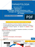 Curs0: Parasitologia Medica: UNIDAD 2: Semana 5