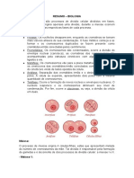 Resumo - Mitose e Meiose