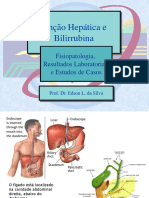 Função Hepática 2014