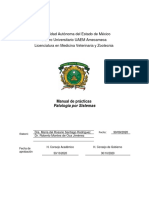 Universidad Autónoma Del Estado de México Centro Universitario UAEM Amecameca Licenciatura en Medicina Veterinaria y Zootecnia