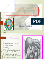 Patología de Pancreas