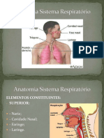 Sistema Respiratório