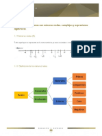 Unidad 1 Operacion Con Numeros Reales Complejos y Expresiones Algebraicas