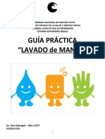 Guía Práctica "Lavado de Manos"