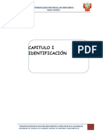 Identificacion, Formulacion y Evaluacion