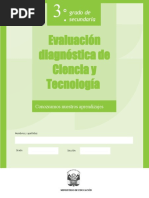 PDF Documento