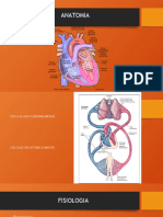 Semio Cardiovasc