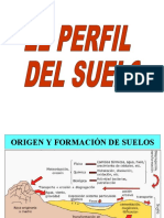 PERFIL DEL SUELO. 2ppt