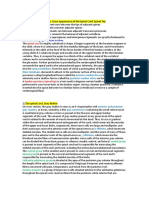 Neuroanatomy 1