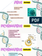 Virus de Pequeño Tamaño (Pico) Con ARN Y Una Estructura de Cápside Desnuda. ARN de Cadena Sencilla