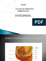 Sesión 6 Ovogenesis y Foliculogénesis