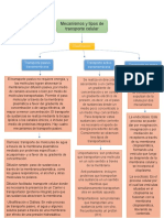 Mecanismos y Tipos de Transporte Celular - Fisiologia