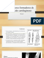 Tumores Formadores de Tejido Cartilaginoso