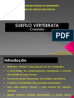 Subf Vert - Intro e Agnatos