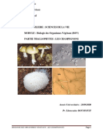 Filiere: Sciences de La Vie MODULE: Biologie Des Organismes Végétaux (BOV) Partie Thallophytes: Les Champignons