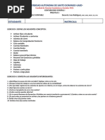 Practica No 1-1 Contabilidad 1