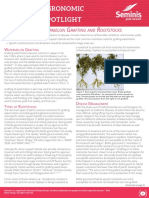 Watermelon Grafting and Rootstocks Seminis