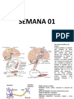 Fisiología Resumenes