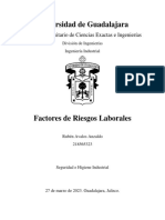 Factores de Riesgo Laborales - AAR