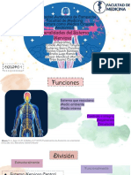 2.1 Generalidades y Organización Del Sistema y Tejidos Nerviosos, Sistema Nervioso Central y Sistema Nervioso Periférico